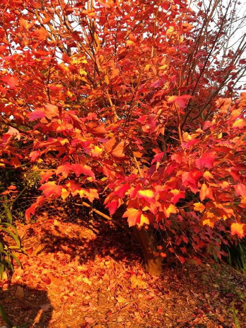 Sheer Pleasure Accommodation - Accommodation Mooloolaba 26