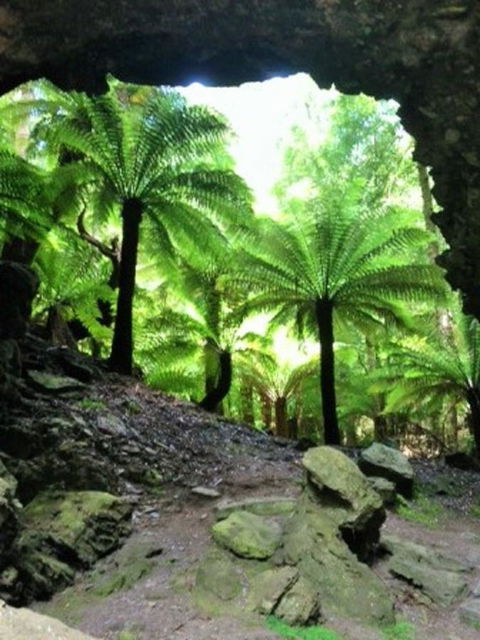 Sheer Pleasure Accommodation - Accommodation Mooloolaba 22