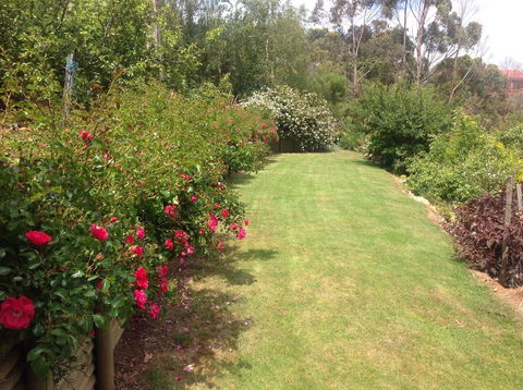 Sheer Pleasure Accommodation - Accommodation Mooloolaba 7