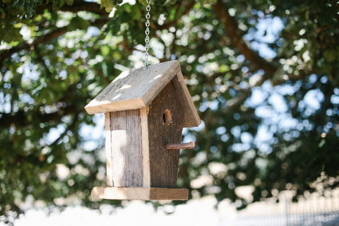 Old White Church Bed & Breakfast - Accommodation Mooloolaba 31