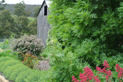 Hamlet Downs Country Accommodation - Accommodation Mooloolaba 19
