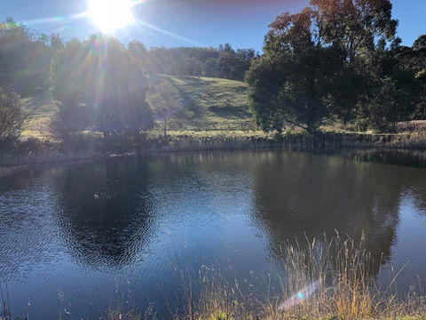 Hamlet Downs Country Accommodation - Accommodation Mooloolaba 8