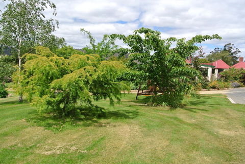 Hamlet Downs Country Accommodation - Accommodation Mooloolaba 21