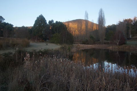 Hamlet Downs Country Accommodation - Accommodation Mooloolaba 25