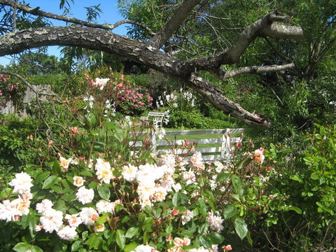 The Grove Cottages - Accommodation Mooloolaba 11