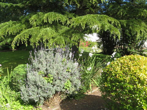 The Grove Cottages - Accommodation Mooloolaba 12