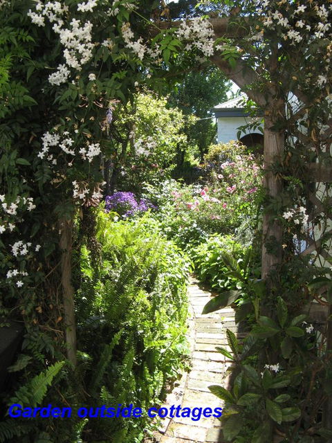 The Grove Cottages - Accommodation Mooloolaba 3