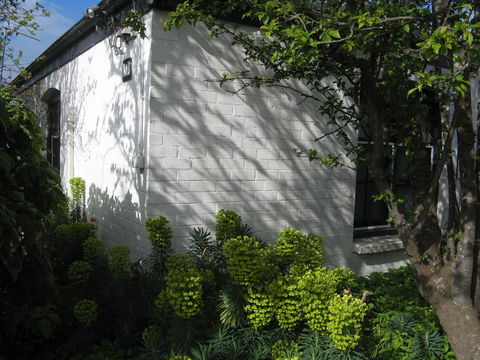 The Grove Cottages - Accommodation Mooloolaba 13