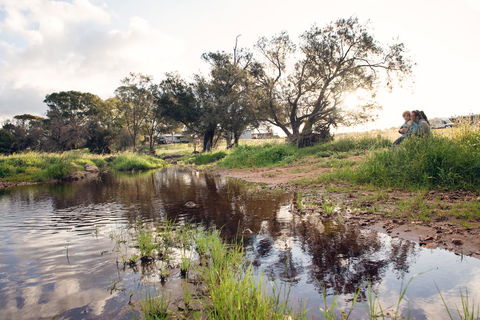 Northbrook Farmstay - Accommodation Mooloolaba 0
