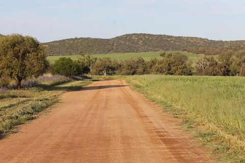 Northbrook Farmstay - Accommodation Mooloolaba 2