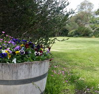 Padthaway Caravan Park - Accommodation Mooloolaba