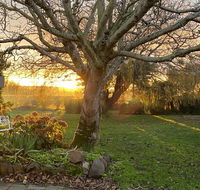 Peg Cottage - Accommodation Mooloolaba