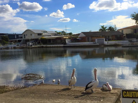Pelican Cove Apartments - Accommodation Mooloolaba 0