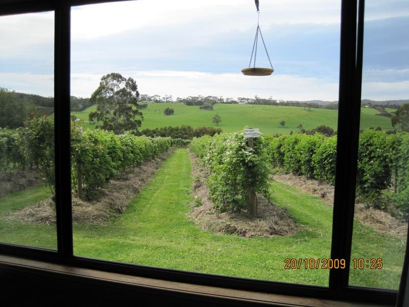 Whoorel ACT Accommodation Mooloolaba