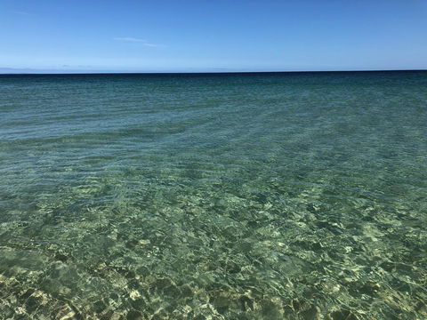Peppermint Grove Beach Holiday Park - Accommodation Mooloolaba 3