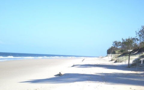 Pet Friendly Home Walking Distance To Surf Beach - North St, Woorim - Accommodation Mooloolaba 3