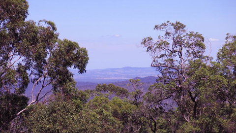 Ravensbourne Escape - Cedar Lodge - Accommodation Mooloolaba 0