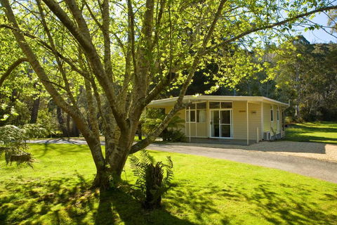 Russell Falls Holiday Cottages - Accommodation Mooloolaba 3