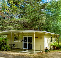 Russell Falls Holiday Cottages - Accommodation Mooloolaba