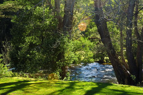 Russell Falls Holiday Cottages - Accommodation Mooloolaba 2