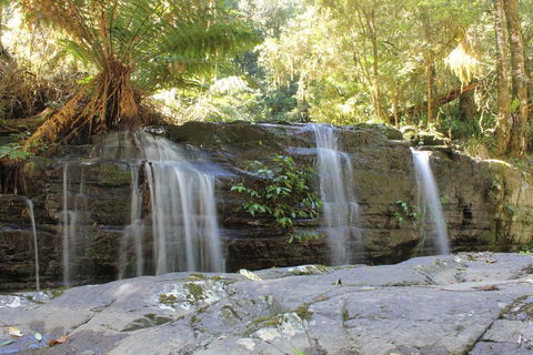 Salisbury Lodges - Accommodation Mooloolaba 1