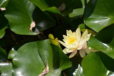 Salisbury Lodges - Accommodation Mooloolaba 3