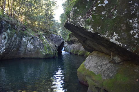 Salisbury Lodges - Accommodation Mooloolaba 0