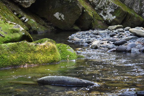 Salisbury Lodges - Accommodation Mooloolaba 2
