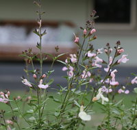 Serendipity on Allyn - Accommodation Mooloolaba