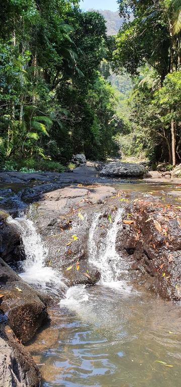 Springbrook25 Upper Apartment - Accommodation Mooloolaba 3