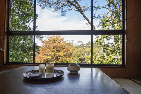 Springbrook25 Upper Apartment - Accommodation Mooloolaba 0