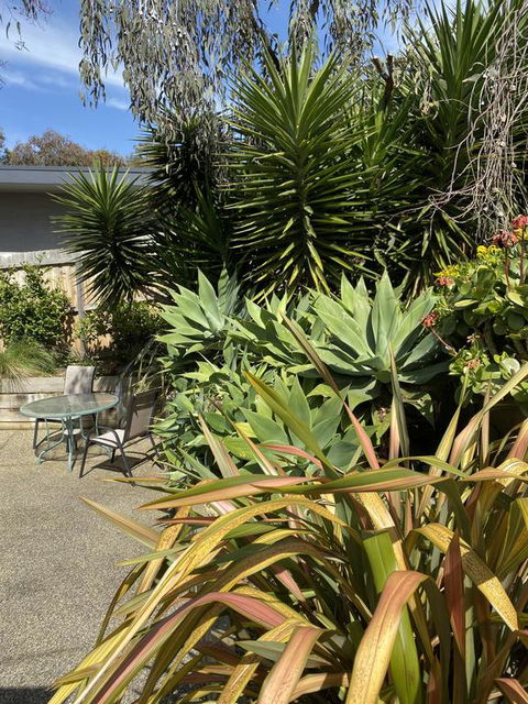Surf Coast Haven - Accommodation Mooloolaba 3