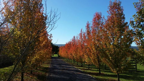 Tamar Valley Farm Stay - Accommodation Mooloolaba 3