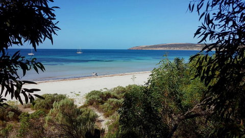 The Beach Shack - Accommodation Mooloolaba 1