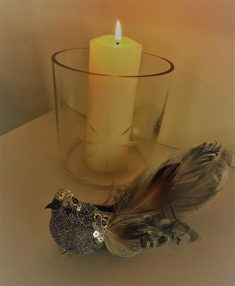 Birch Lane - Accommodation Mooloolaba 26