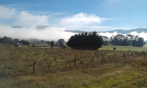 Birch Lane - Accommodation Mooloolaba 30