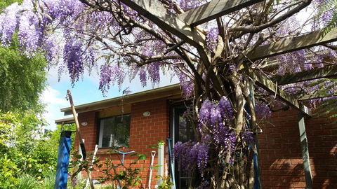 Birch Lane - Accommodation Mooloolaba 42