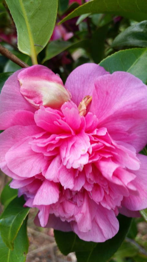 Birch Lane - Accommodation Mooloolaba 38