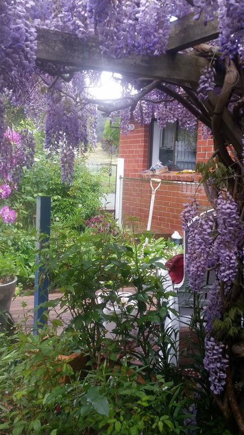 Birch Lane - Accommodation Mooloolaba 41