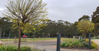 Book Lebrina Accommodation Vacations Accommodation Mooloolaba Accommodation Mooloolaba