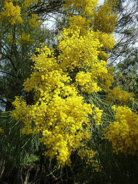 Eagles Rise Tasmania - Accommodation Mooloolaba 29