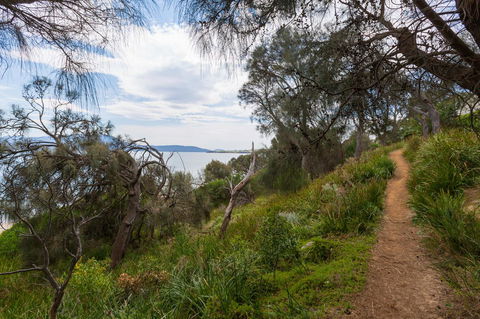 Blessington Beach Retreat - Accommodation Mooloolaba 35