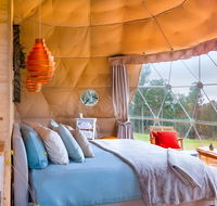 Domescapes in the Vines - Accommodation Mooloolaba