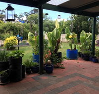 Blue Wren Bungalow - Accommodation Mooloolaba