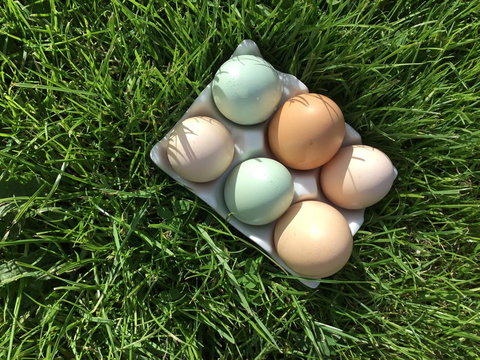 Nextdoor@portarthur - Accommodation Mooloolaba 15