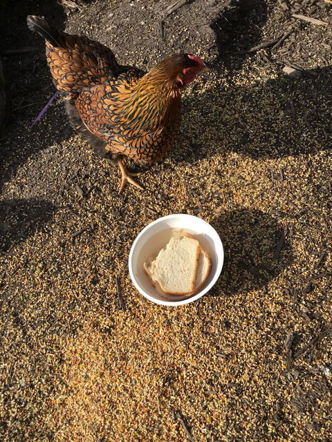 Nextdoor@portarthur - Accommodation Mooloolaba 16