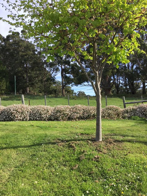 Nextdoor@portarthur - Accommodation Mooloolaba 17