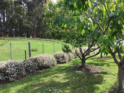 Nextdoor@portarthur - Accommodation Mooloolaba 18