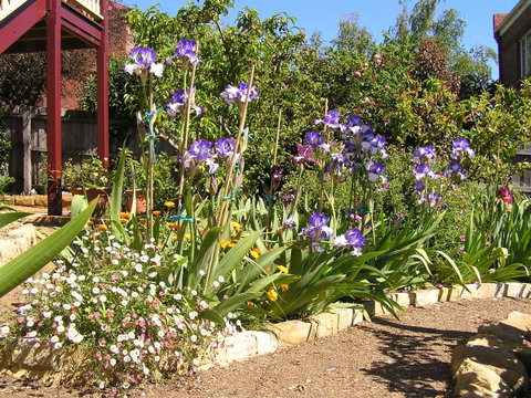 Bendalls Bed And Breakfast - Accommodation Mooloolaba 10