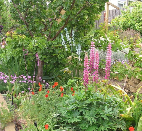 Bendalls Bed And Breakfast - Accommodation Mooloolaba 14